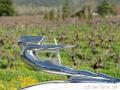 1937 Cadillac Series 65 Hood Ornament Close-Up