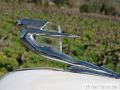 1937 Cadillac Series 65 Hood Ornament Close-Up