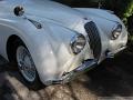 1952-jaguar-xk120-ots-001