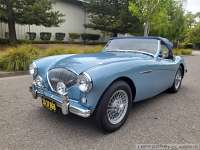 1955-austin-healey-bn1-012