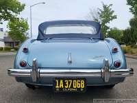 1955-austin-healey-bn1-043