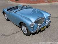 1955-austin-healey-bn1-058