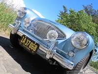 1955-austin-healey-bn1-081