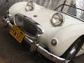 1958-austin-healey-bug-eye-sprite-039