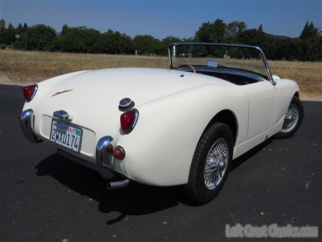 1959-austin-healey-bugeye-034.jpg