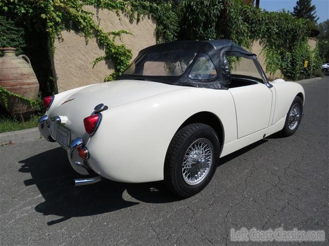 1959-austin-healey-bugeye-041.jpg