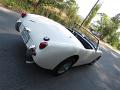 1959-austin-healey-bugeye-039