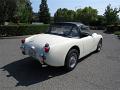 1959-austin-healey-bugeye-040