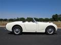 1959-austin-healey-bugeye-045