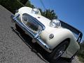 1959-austin-healey-bugeye-071