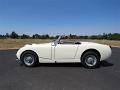 1959-austin-healey-bugeye-191