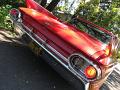 1961 Cadillac Fleetwood Rear Close-up