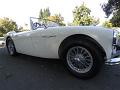 1962-austin-healey-3000-103