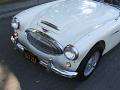 1962-austin-healey-3000-151