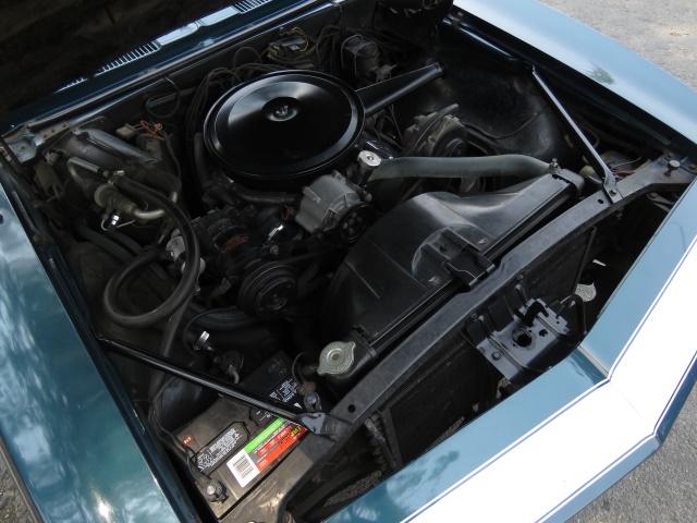 1967-chevrolet-camaro-ss-163.jpg