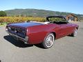 1967 Ford Mustang C-Code Convertible Rear