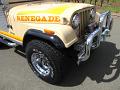 1981-jeep-cj7-renegade-914