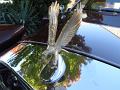 1985 Zimmer Golden Spirit Hood Ornament