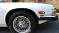 1990-jaguar-xjs-convertible-051