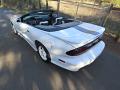 1994-pontiac-trans-am-convertible-023