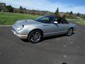 2004-ford-thunderbird-012